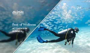 summer wellness activities Abu Dhabi, Summer Wellness Ideas Blog Banner by Abu Dhabi Tourist Places